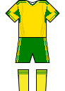 South Africa Home Kit - World Cup 2010